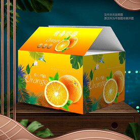 橙子包装 脐橙礼盒