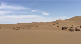 新疆 库木塔里沙漠