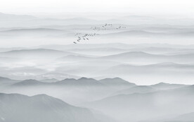 山水