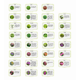 花卉植物树木说明