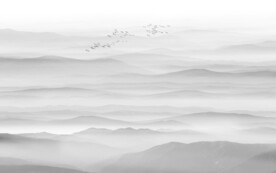 禅意水墨山水图