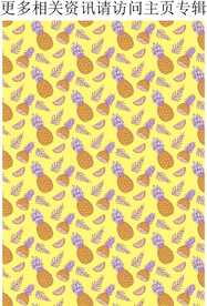 菠萝 凤梨 水果图案 