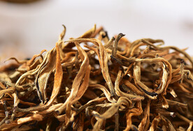 普洱茶视频素材