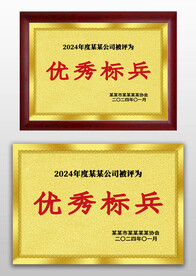 金色磨砂优秀标兵荣誉奖牌铜牌
