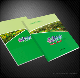 美丽乡村封面