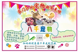 宠物商店