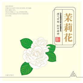 茉莉花