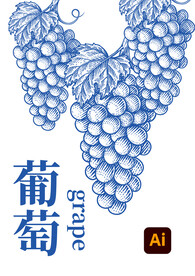 葡萄插画