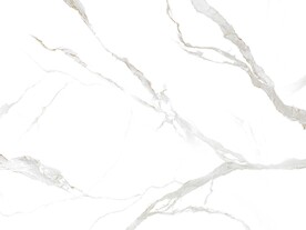 爆款 简奢新爵士白 TiF合层