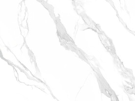 高端 中式新鱼肚白 TiF合层