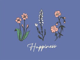 花插画英文设计