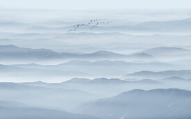 禅意水墨画背景墙