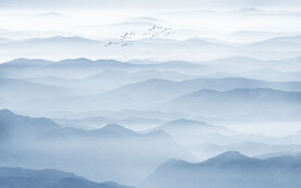 禅意水墨山水图