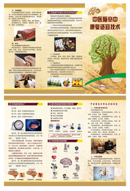 中医脑卒中康复适宜技术三折页