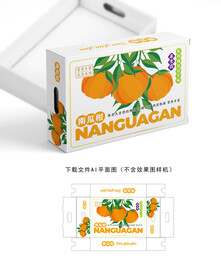  手绘南瓜柑包装