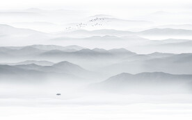 新中式电视背景墙