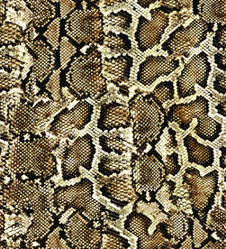 蛇纹