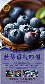 蓝莓海报图片分层ai