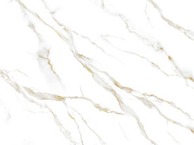 新传 新金线雅士白 TiF合层