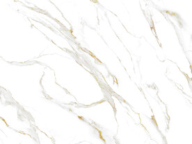 新品 金线新爵士白 TiF合层