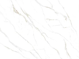 大气 金线新爵士白 TiF合层