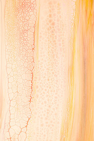 黄色流体渐变科技线条背景