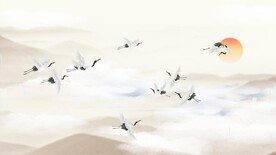 仙鹤 