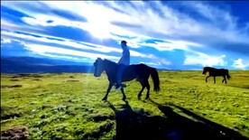 草原蓝天白云河流羊群视频