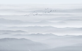 中式禅意水墨山水画背景墙