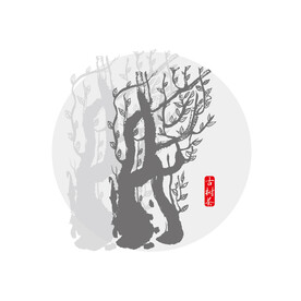 古树茶