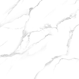 新传 奢雅鱼肚白纹 TiF合层