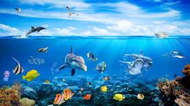 海底世界海底之家