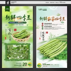 四季豆
