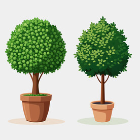 卡通矢量花盆里的美丽的高茎灌木