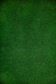 绿茵草坪特写自然健康模板