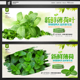 薄荷