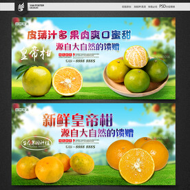 皇帝柑