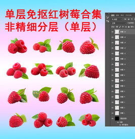 单层免抠透明红树莓