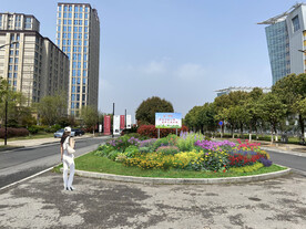 城市市政道路花镜设计图