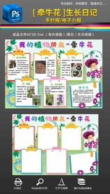 牵牛花观察日记生长日记手抄报