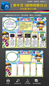 牵牛花观察日记生长日记小报