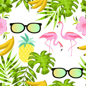 热带雨林火烈鸟