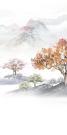 人气 高档玄关新图 TiF分层