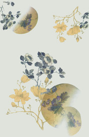 扇子花
