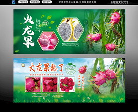火龙果