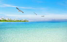 蓝天白云大海背景墙