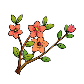 矢量花朵美丽的桃花春天盛开