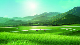 蓝天 白云 大草原