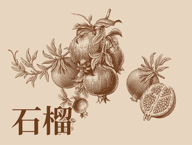 石榴复古版画