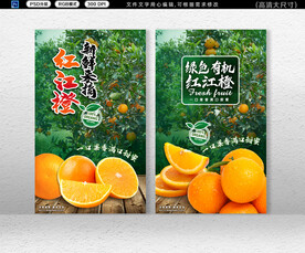  橙子